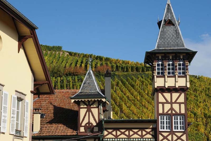 Trimbach-Winery